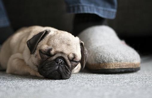 落枕了如何缓解疼痛