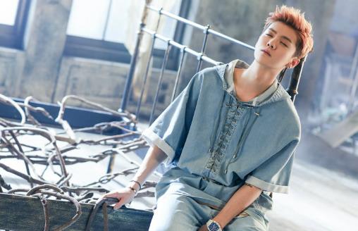 鹿晗个人资料简介 鹿晗照片 明星鹿晗的QQ号 鹿晗新歌推荐