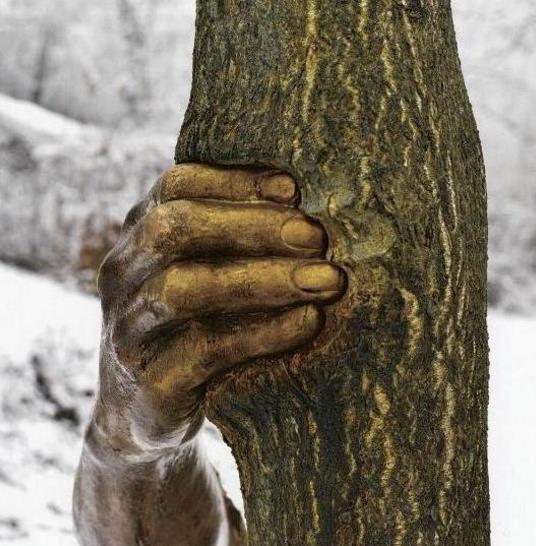 世界上最孤独的手 握了半个世纪树干 游客却说太残忍
