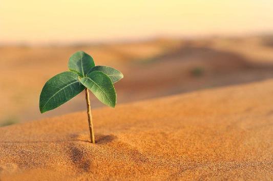 2019年想创业 如果不具备这六种正能量 还是打工吧