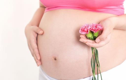 孕期饮食 怀孕十个月的养胎饮食指南