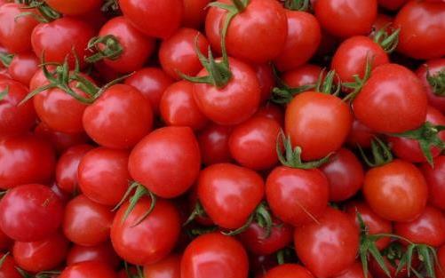 小番茄营养又健康 孕妈妈可常吃