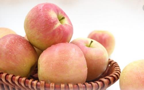 吃苹果真的会瘦 什么时候吃苹果才有效