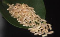 冬季减肥不用节食 这几种食物越吃越瘦