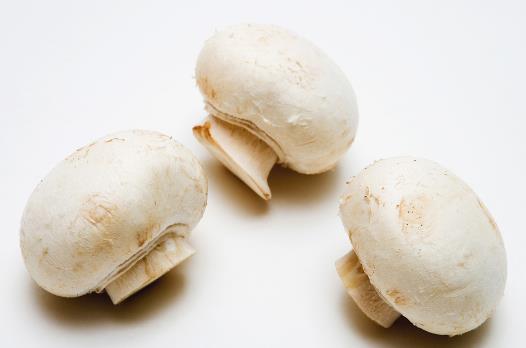 4种常见蘑菇的营养价值 适用于孕妇补充营养