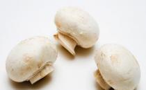 ​4种常见蘑菇的营养价值 适用于孕妇补充营养