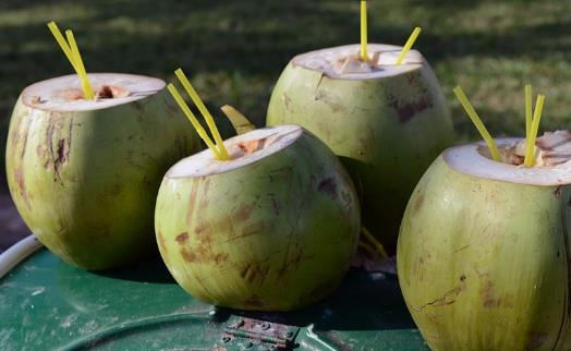 椰子的功效 一道椰子食疗方教给你养颜又滋补