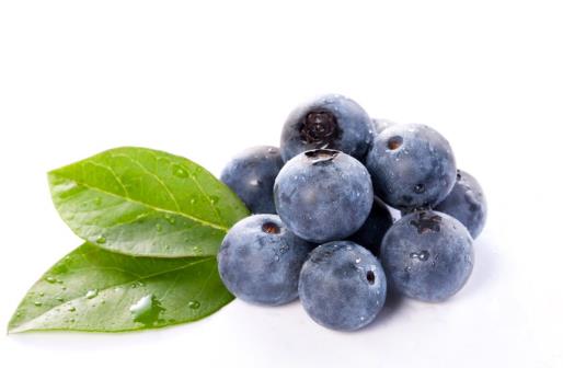想要美容养颜改善睡眠 选择以下蓝莓食谱就对了