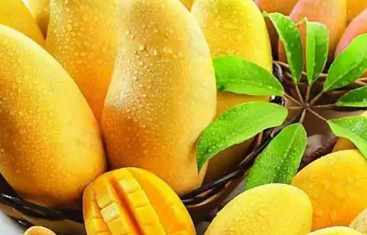 爱吃热带水果之王的芒果 这些方法能减少过敏带来的伤害