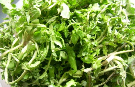 春季食疗养生效果好 选对食谱更健康