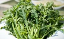 将炒青菜改为水煮青菜 烹调蔬菜也有小技巧