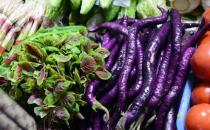 吃不完的时令菜 换种方式来保鲜同样好味道