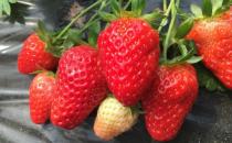 20个保存食物的小妙招 保证让你受用无穷