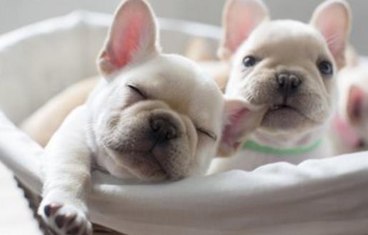 这些习惯会增加食物中毒风险 应该多多留意