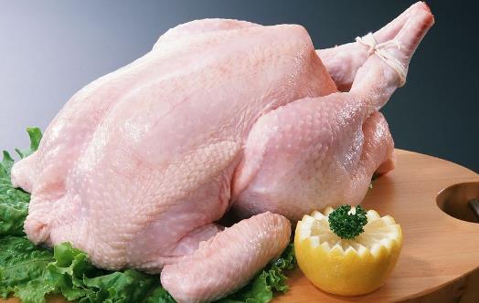 肉鸡肉土鸡肉和蛋鸡肉 吃鸡肉时需要了解的小常识 