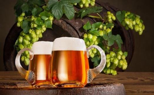 经常饮用啤酒能保持人体骨骼强健 啤酒的种类知多少（喝啤酒对骨骼有影响吗）