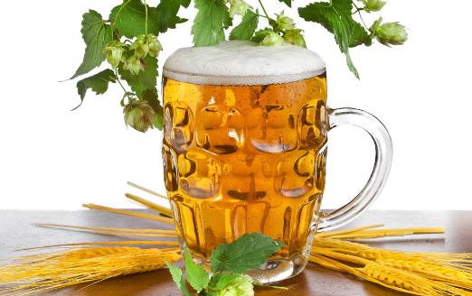 经常饮用啤酒能保持人体骨骼强健 啤酒的种类知多少 