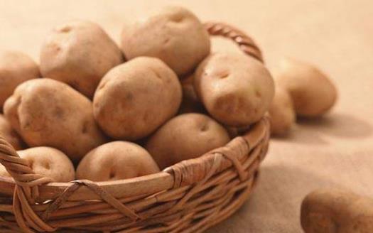 发了芽的土豆不能吃 避免土豆发芽的方法