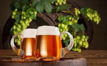 ​经常饮用啤酒能保持人体骨骼强健 啤酒的种类知多少 