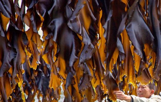 不要误会食物上的白霜 不是农药残留哦