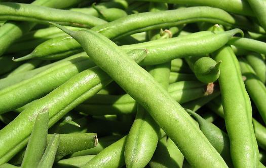 食材养生但也可能伤身 厨房里的10大有毒食物