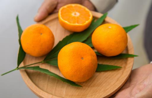 孕妇可以吃橘子吗 如何养护孕中身体
