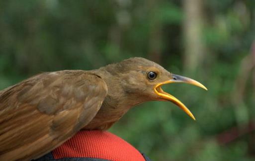 毒药用途广泛 世界古今最全毒药大全 
