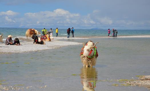 去西藏旅游 高原反应头疼的应对方法