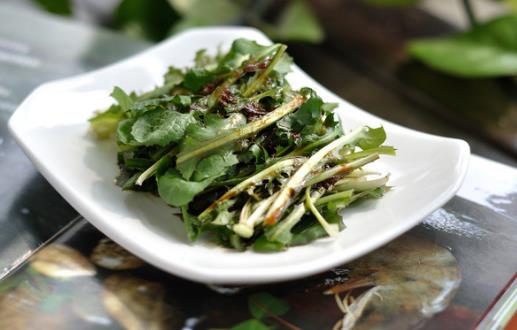 盆腔腹膜炎饮食要注意哪些 盆腔腹膜炎正确的护理措施是怎