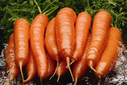 胡萝卜有哪些营养胡萝卜的营养价值有哪些
