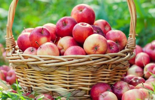 吃苹果，营养增加三成！但100%的人都吃错了