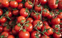 ​能抗氧化的西红柿吃法大全 应该生吃熟吃空腹吃