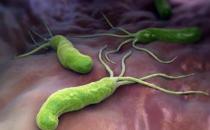 幽门螺杆菌的传染途径 幽门螺旋杆菌的治疗方法