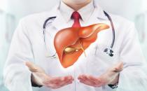 肝脏帮助身体排除毒素 养肝护肝诀食疗入手七要诀