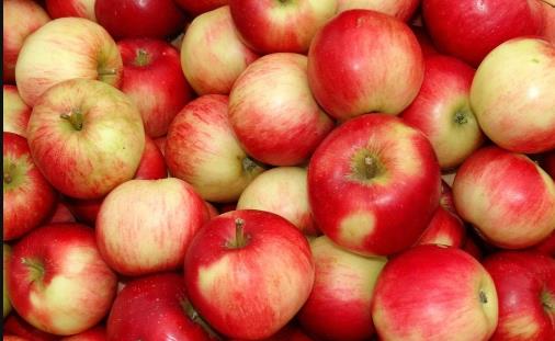 苹果烂了一块，整个都不能吃了吗？为什么