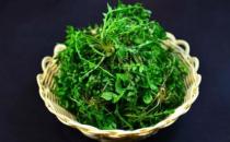 野菜纯天然有营养 野菜的多种做法