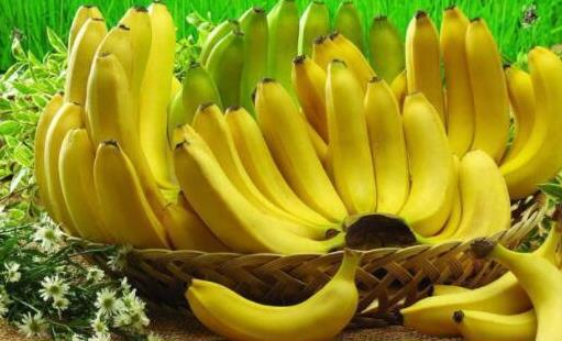 单吃香蕉是否可以减肥 常见的减肥误区你都知道几个