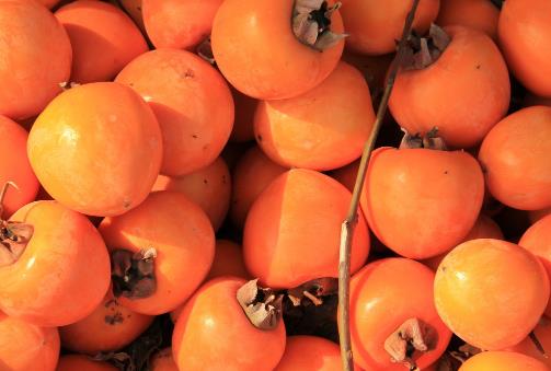 白萝卜炖蜂蜜止咳效果好 具有止咳功效的食物