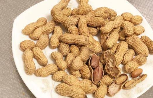 旅途中的食品安全问题