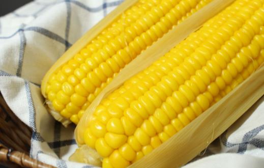 玉米是粗粮中的保健佳品 煮玉米更营养的方法