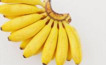 ​香蕉口感好且营养丰富功效多多 香蕉美味新吃法推荐