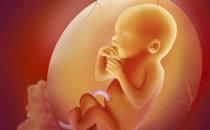孕期关于胎儿头部的测量指标 胎儿头小的原因
