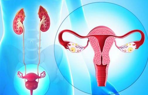 排尿困难或不畅竟是卵巢癌的信号 卵巢癌的饮食禁忌