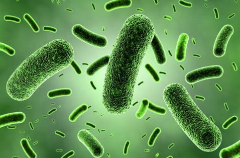 益生菌或解开长寿密码 补充益生菌可长寿