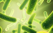 ​益生菌或解开长寿密码 补充益生菌可长寿