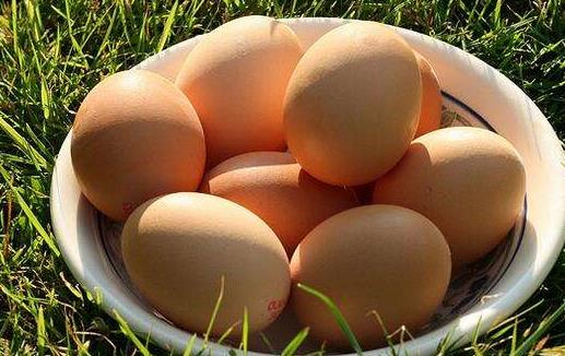 饮食均衡者一天一个蛋 吃蛋指南请拿好
