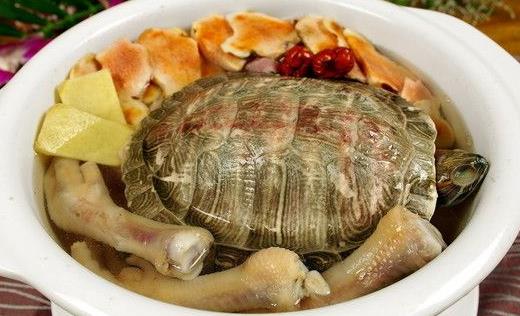 常煲土茯苓草龟汤 可清热祛湿解毒润肤