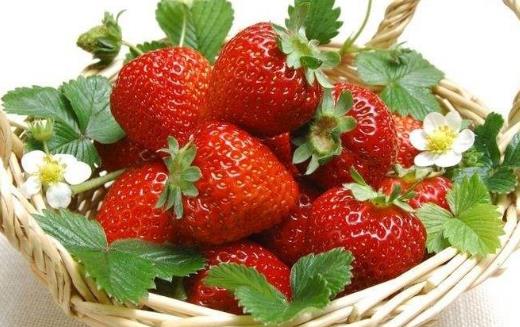 草莓的营养价值 食用草莓对防治冠心病有益处