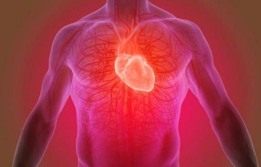 心跳越快血管越危险 缓解心跳加剧降低心率的方法