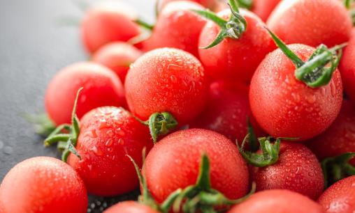 西红柿到底生吃好还是做菜好？番茄酱等番茄制品也一样有